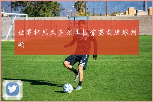 世界杯厄瓜多尔库拉索赛前进球判断
