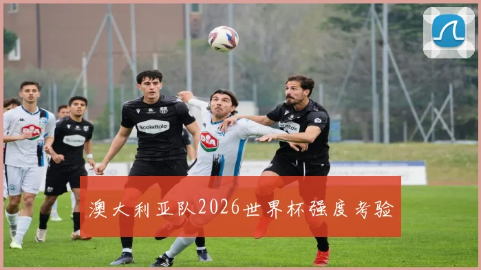澳大利亚队2026世界杯强度考验
