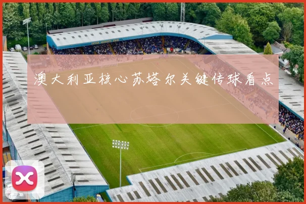 澳大利亚核心苏塔尔关键传球看点