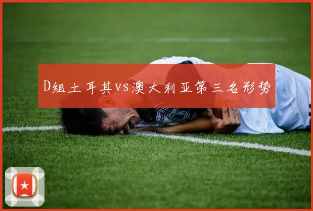 D组土耳其vs澳大利亚第三名形势