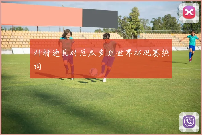 科特迪瓦对厄瓜多尔世界杯观赛热词