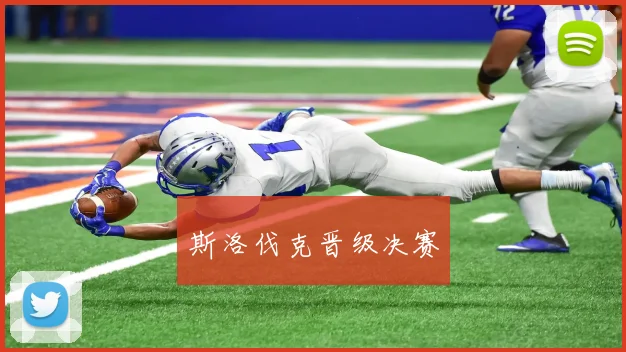 斯洛伐克晋级决赛