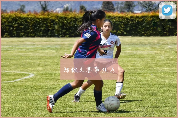 郑钦文赛事焦点