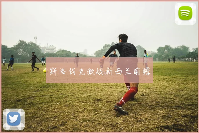 斯洛伐克激战新西兰前瞻