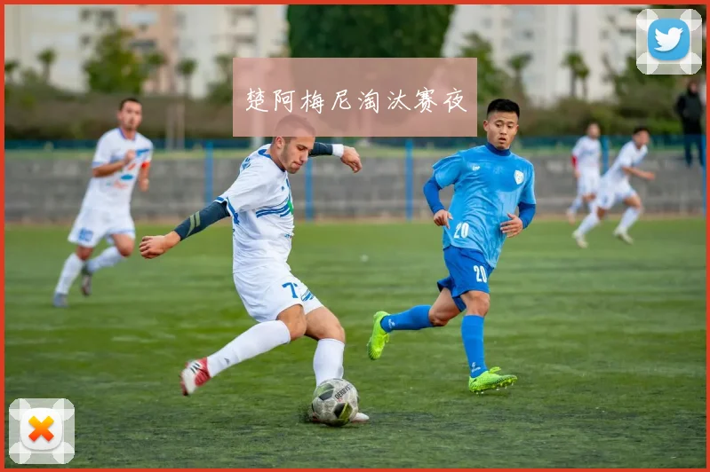 楚阿梅尼淘汰赛夜