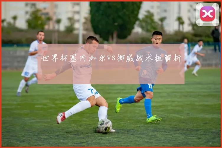 世界杯塞内加尔vs挪威战术板解析