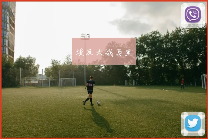 埃及大战马里