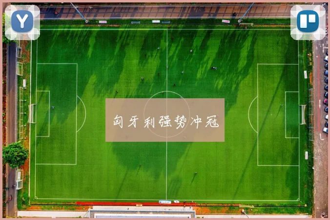 匈牙利强势冲冠