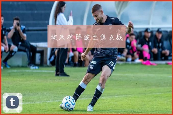 埃及对阵波兰焦点战