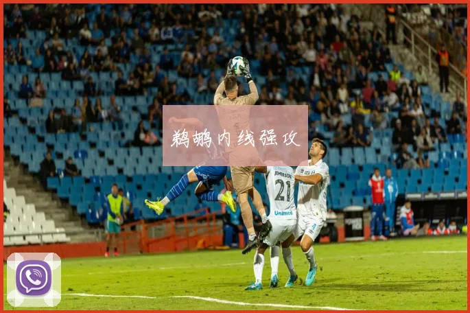鹈鹕内线强攻