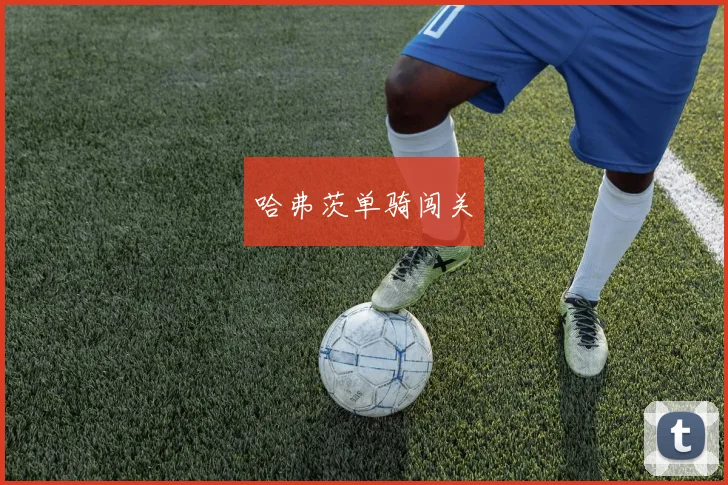 哈弗茨单骑闯关