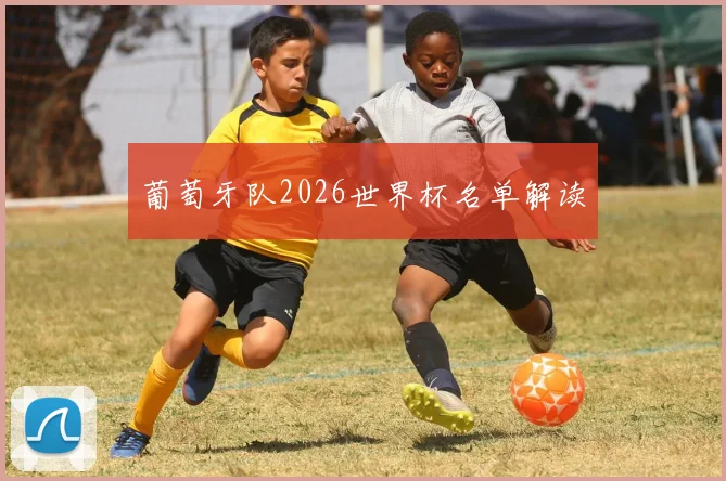 葡萄牙队2026世界杯名单解读