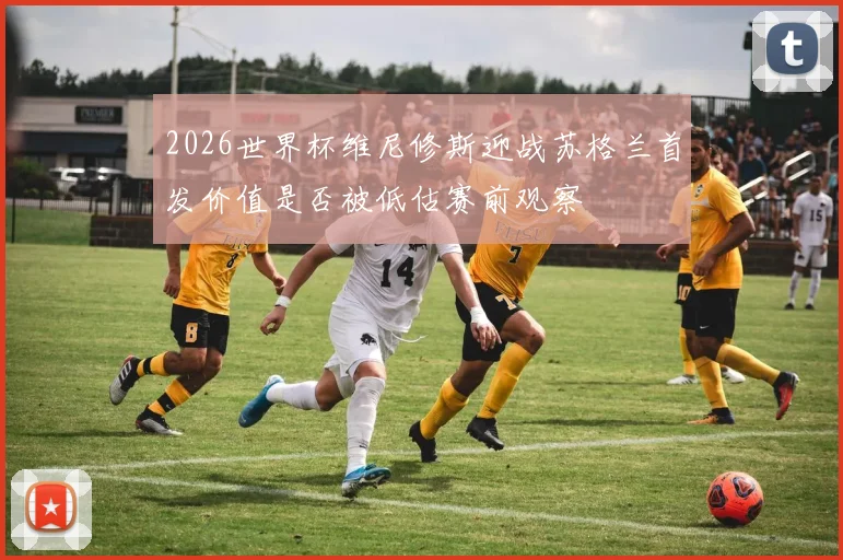 2026世界杯维尼修斯迎战苏格兰首发价值是否被低估赛前观察