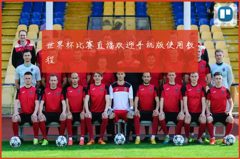 世界杯比赛直播欢迎手机版使用教程