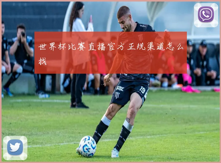 世界杯比赛直播官方正规渠道怎么找